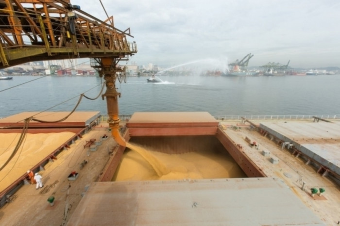Несмотря на разблокировку работы зерновой инициативы, выгрузка зерна в портах Великой Одессы снижается