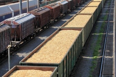 The transfer of grain cargoes by railway through the western border crossings decreased for 11 days of March, - UZ
