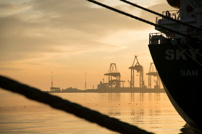 Ukraine exported 11.8 million tons of cargo in March 2024 Ukraine exported 11.8 million tons of cargo in March 2024