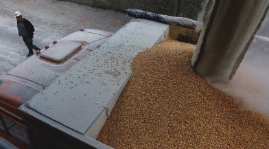 Ukraine exported more than 29 million tons of grain