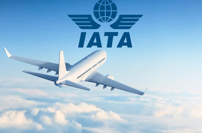 МСЗ і IATA мають намір спростити здійснення мультимодальних перевезень