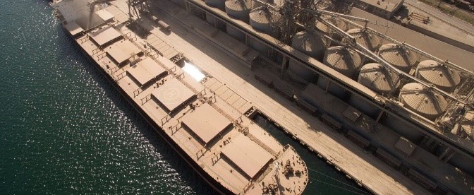 Експорт зерна відстає від торішнього графіка на 6 млн тонн