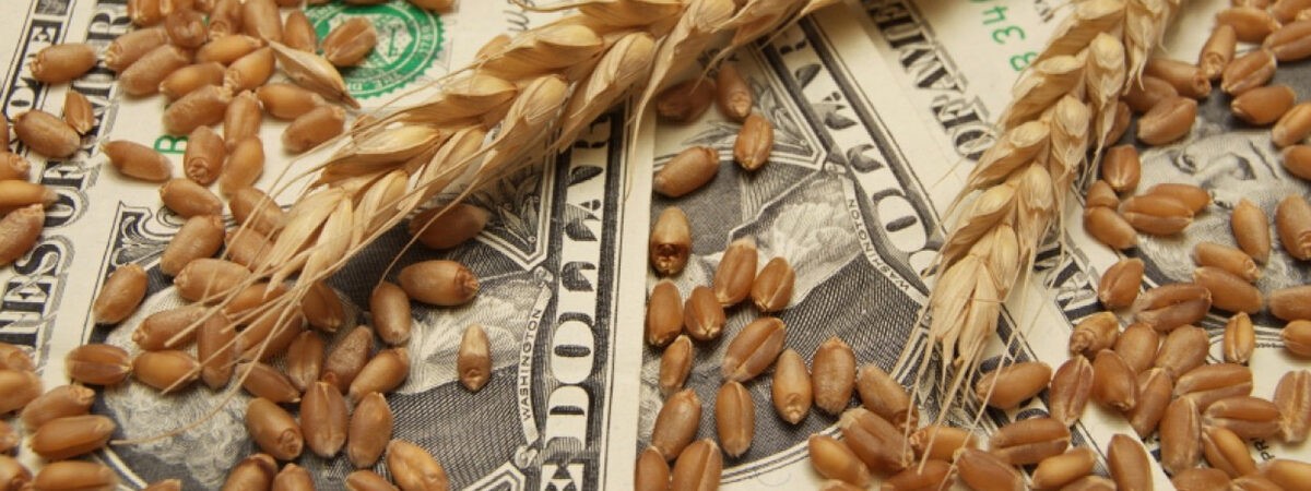 Кабмін підтримав ліквідацію зернового Гарантійного фонду