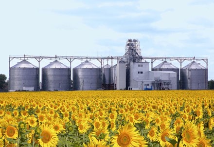 В Украине введено в эксплуатацию более 14 млн т мощностей единовременного хранения за 10 лет