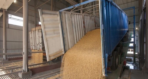 Експорт зерна поступається торішньому обсягом на 15% Експорт зерна поступається торішньому обсягом на 15%