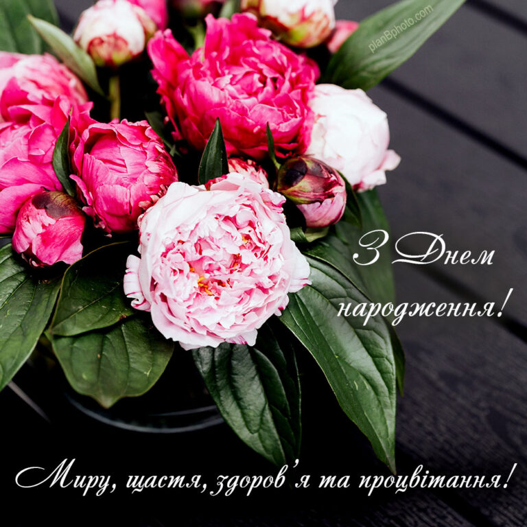 We sincerely congratulate all the employees of PE &quot;MIRAL TRANS&quot;