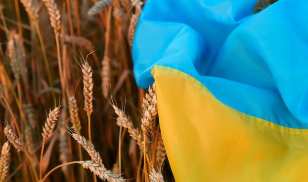 Крупнейший импортер пшеницы в мире будет покупать украинское зерно вопреки желанию России. Крупнейший импортер пшеницы в мире будет покупать украинское зерно вопреки желанию России.