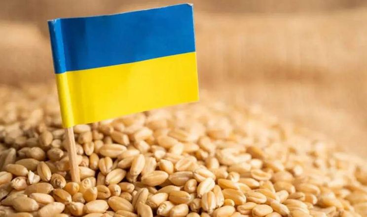 В сентябре объем сельскохозяйственных товаров, экспортируемых из Украины благодаря коридорам солидарности ЕС, составлял 4,2 миллиона тонн.