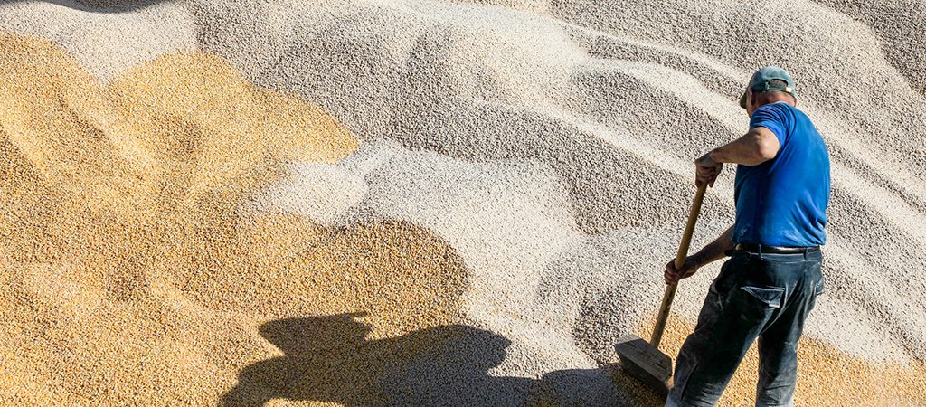 Евросоюз не планирует ограничивать импорт из Украины, несмотря на жалобы фермеров