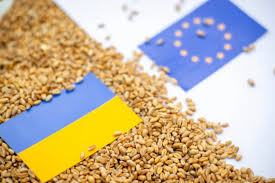 З 6 ЧЕРВНЯ 2025 РОКУ ЄС ПОНОВЛЮЄ ТАРИФНІ КВОТИ НА УКРАЇНСЬКУ АГРОПРОДУКЦІЮ