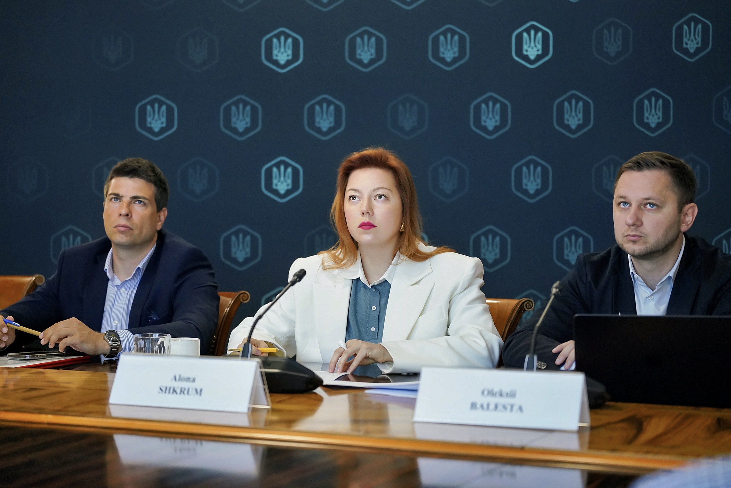 ПРЕДСТАВНИКИ П’ЯТИ КРАЇН ОБГОВОРИЛИ РОЗВИТОК ТРАНСПОРТНОГО КОРИДОРУ «БАЛТІЙСЬКЕ МОРЕ – ЧОРНЕ МОРЕ – ЕГЕЙСЬКЕ МОРЕ»